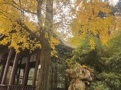 -成都杜甫草堂博物馆