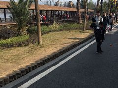 景点-枫香湖儿童公园