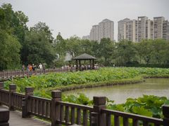 -金山公园