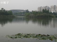-SMP滑板公园