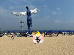 -大梅沙海滨公园