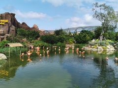-芽庄珍珠岛游乐园