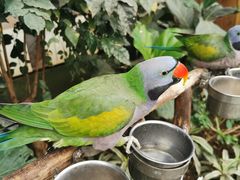 -南宫五洲植物乐园