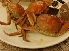 -东方豪景花园酒店·怡景旋转餐厅