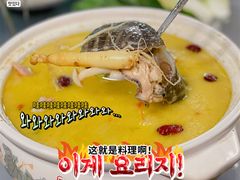 -金龙·打边炉(南京西路店)