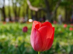 -长春公园(普阳街道)