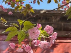 -李叔同故居纪念馆