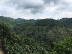 -四会奇石河风景区