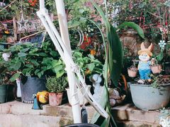 -鱼乐岛餐厅·户外花园主题餐厅