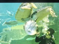 -嘉兴海底世界