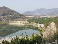 -樱花山风景区