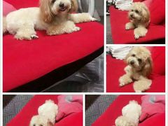 android_upload_pic-檀府