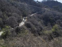 -大连金龙寺国家森林公园-售票处