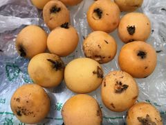 -冯记香辣兔火锅(茶店子总店)