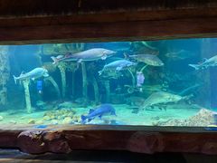 -华夏文旅海洋公园