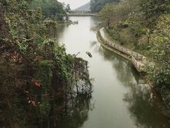 -广州市帽峰山景区