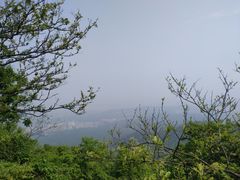 -紫金山山顶公园