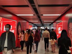 -华仔土鸡店(南洲分店)