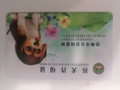 -辛巴宠物医疗中心·骨科·内分泌专科·心肾专科(亭林公园店)