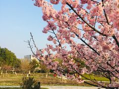 -江南大学(蠡湖校区)