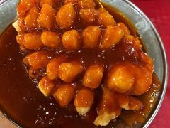松鼠草鱼-田园小观园(武大店)