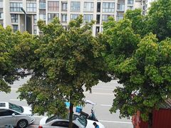 -乡村基(双流时代奥特莱斯餐厅)