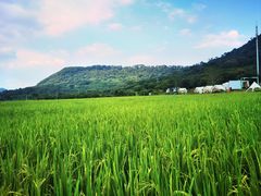 -风云岭森林公园