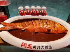 红烧黄河大鲤鱼-阿五黄河大鲤鱼(英协路店)