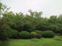 -水西公园
