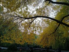 -玲珑塔公园