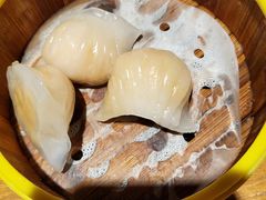 -纽斯特牛排自助餐厅(浦东文峰广场店)