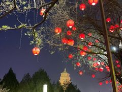 -大雁塔北广场音乐喷泉