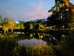 -四海公园(南山区)