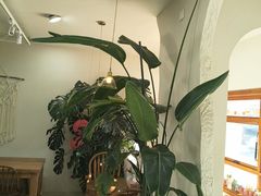 -AHAVA·Fang Baking Studio
