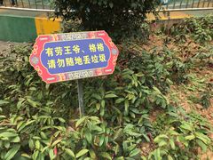 景点-珠海圆明新园