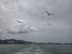 -刘公岛景区