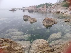 -养马岛旅游度假区