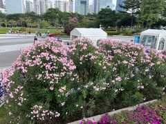 -海心沙亚运公园