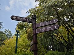 -趵突泉景区