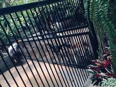 -TrueLove @ Neverland (Husky Cafe)
