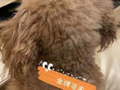 -新富特功夫足疗(华都园大厦店)