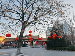 -莲花池公园