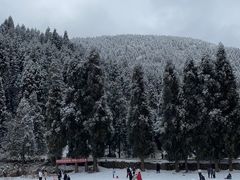 -武陵山森林公园