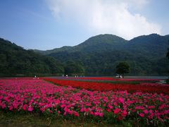 -广州市石门国家森林公园