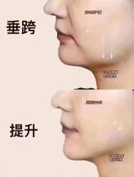 -薇薇安花系SPA