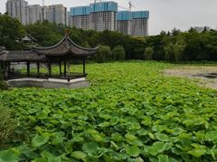 -高子水居