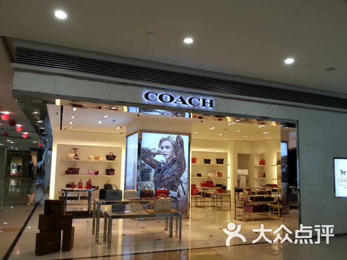 coach图片 第6张