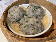 发菜鲮鱼球-真點心(高士德店)