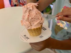 山楂gelato-野人先生现做冰淇淋(北京王府井东方新天地店)