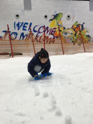 -Mr·Kuma酷么先生雪之乐园